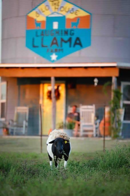 Silo House At Laughing Llama Farm Troy Zewnętrze zdjęcie